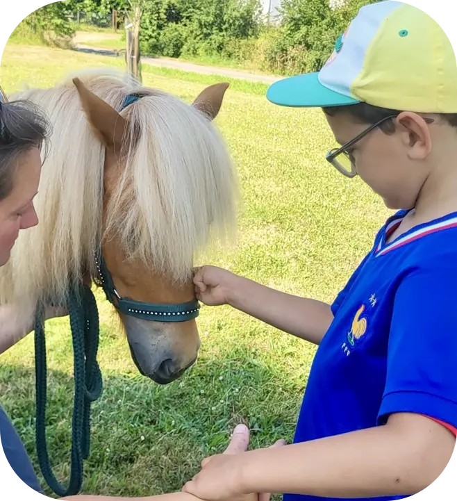 découvrez les bénéfices d'être en contact avec notre cheval