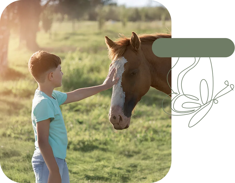 découvrez la médiation par l'animal avec le cheval